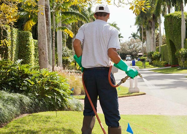 About Weston WY Pest Control